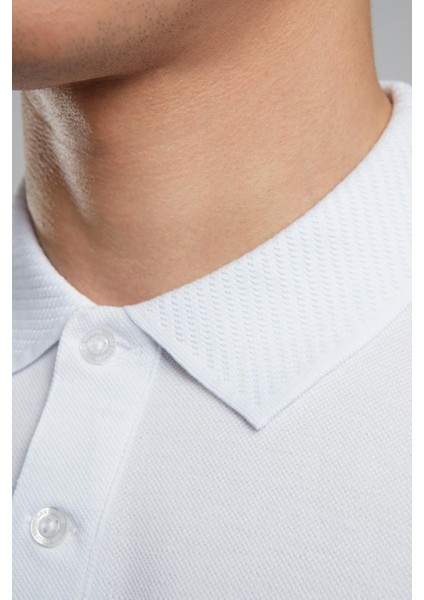 Rolan Erkek Polo Yaka T-Shirt Siyah fırsatları