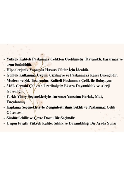 Paslanmaz Çelik Minimalist Küpe Yüksek Kalite , Lüks , Zarif ve Moda , Günlük Kullanıma Uygun