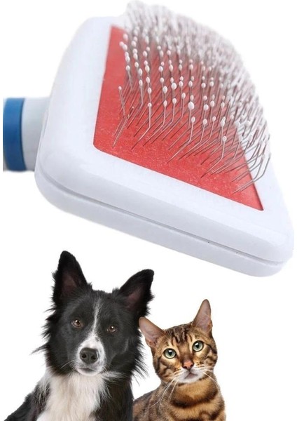 Evcil Hayvan Fırçası Telli Beyaz Kedi Köpek Fırça Beyaz