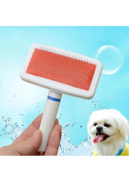 Evcil Hayvan Fırçası Telli Beyaz Kedi Köpek Fırça Beyaz