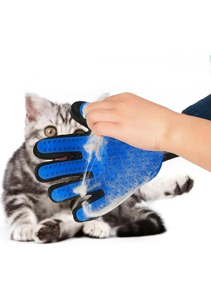 Kedi Köpek Tüy Toplayıcı Eldiven Evcil Hayvan Tüy Toplama Eldiveni Sağ El Mavi Renk modelleri