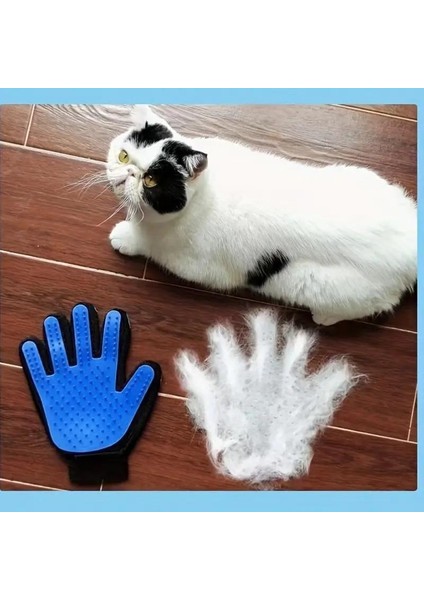 Kedi Köpek Tüy Toplayıcı Eldiven Evcil Hayvan Tüy Toplama Eldiveni Sağ El Mavi Renk indirimleri