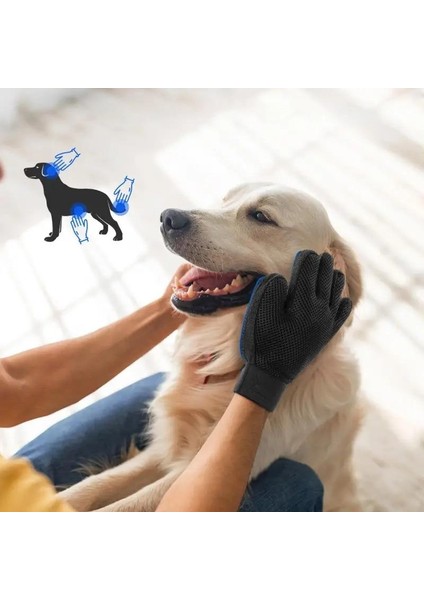 Kedi Köpek Tüy Toplayıcı Eldiven Evcil Hayvan Tüy Toplama Eldiveni Sağ El Mavi Renk