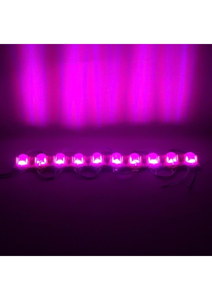 Pembe 24 Volt 1.4 Watt 2835 Modül LED 48*30 fiyatları