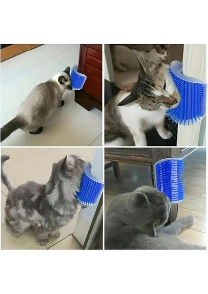 Kedi Kaşınma Tırmalama Ve Sürtünme Aparatı Kedi Masaj Fırçası Kedi Naneli fiyatları