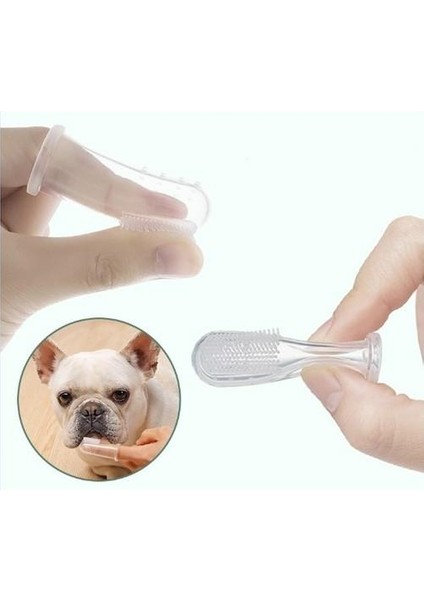 2 Adet Kedi Köpek Parmak Diş Fırçası Saklama Kutulu Evcil Hayvan Diş Bakım Fırçası