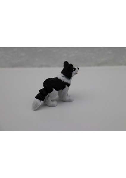 Sevimli Hareketli Eğitici Köpek Hayvan Figürü / Oyuncak - Border Collie modelleri