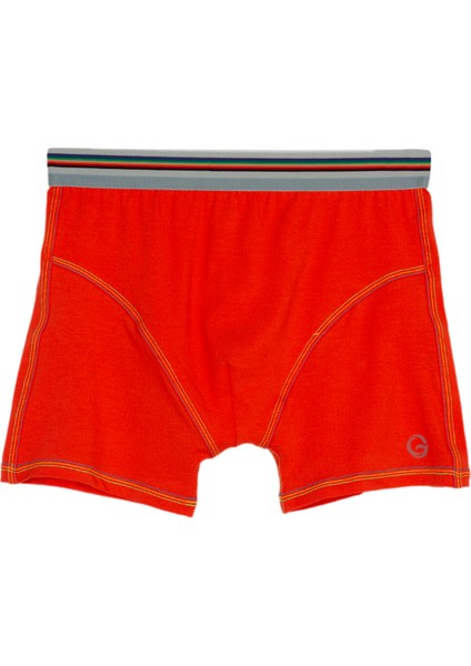 Erkek Modal Boxer 44503 fiyatları