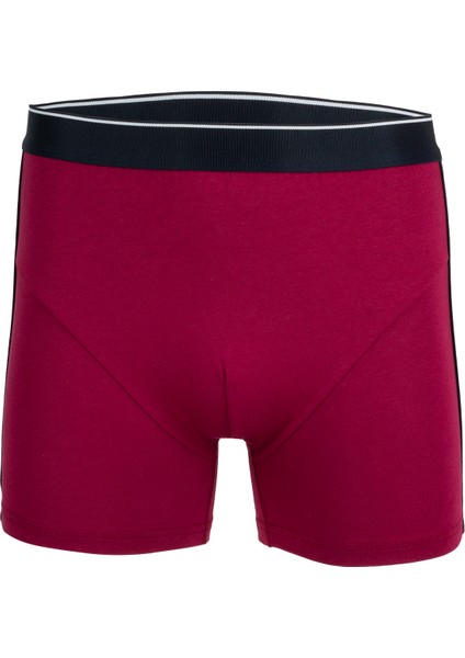 Erkek Modal Boxer 44503