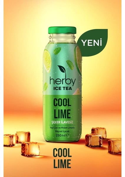 Diyete Destek Paketi (Ice Tea Cool Lime 12'li Şeker İlavesiz Soğuk Çay )