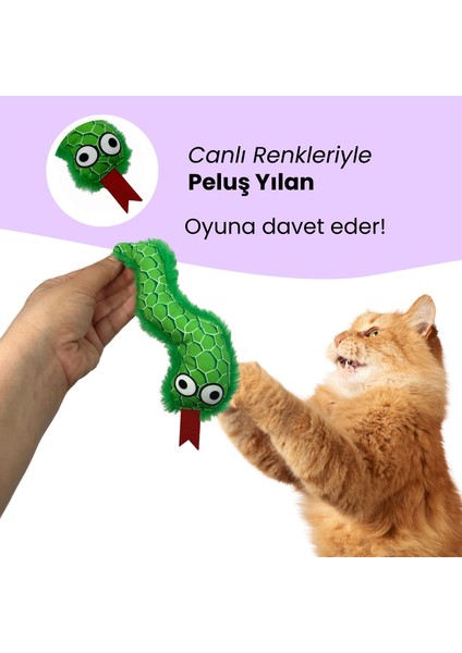 2'li Peluş Kedi Oyuncak Seti Ponponlu, Lastikli Kedi ve Yeşil Renkli Yılan Kedi Oyuncakları fırsatları
