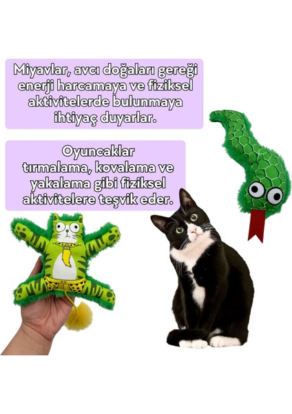2'li Peluş Kedi Oyuncak Seti Ponponlu, Lastikli Kedi ve Yeşil Renkli Yılan Kedi Oyuncakları