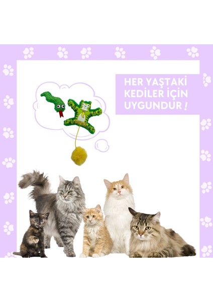2'li Peluş Kedi Oyuncak Seti Ponponlu, Lastikli Kedi ve Yeşil Renkli Yılan Kedi Oyuncakları
