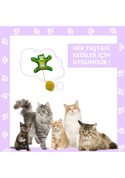 Yeşil Renkli Kedi Oyuncağı Ponponlu ve Lastikli Peluş Kedi Oyuncağı
