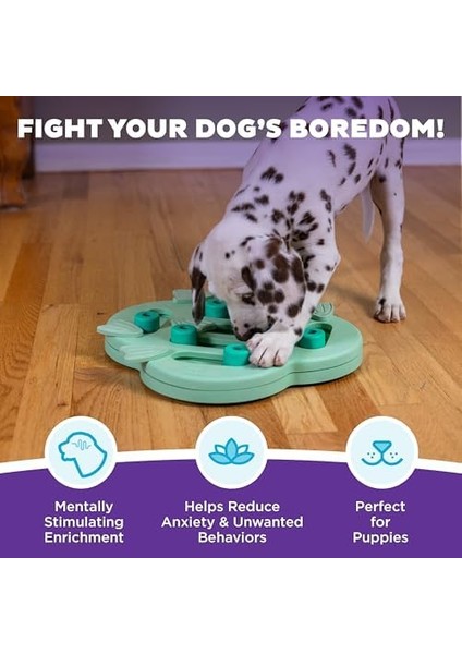 Nina Ottosson Yavru Köpek Hide N' Slide - Köpekler Için Etkileşimli Ödül Düşünme Oyuncağı - Yeşil