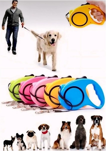 5 Metre Otomatik Makaralı Köpek Gezdirme Tasması ve Yürütme Kayışı Tasma Boyun Pup Style Şerit İpi