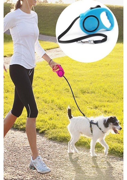 5 Metre Otomatik Makaralı Köpek Gezdirme Tasması ve Yürütme Kayışı Tasma Boyun Pup Style Şerit İpi
