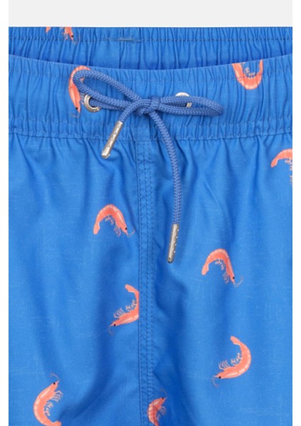 Multıcolor Karides Des. Orta Şort modelleri