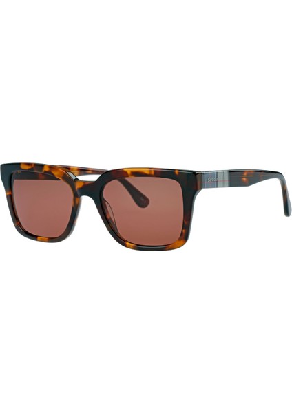 BA-8101 Güneş Gözlüğü C3 Dark Tortoise/brown
