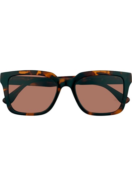 BA-8101 Güneş Gözlüğü C3 Dark Tortoise/brown