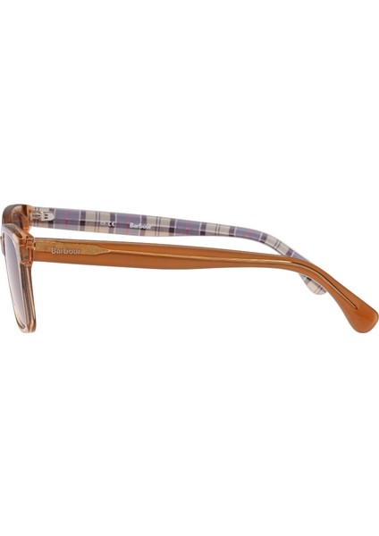 BA8104 Güneş Gözlüğü C3 Light Brown/green modelleri