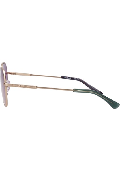 BA8130 Güneş Gözlüğü C3 Satin Light Gold/purple Grey modelleri