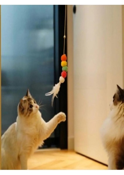 Elastik Kendinden Yapışkanlı Renkli Kedi Oyun Oltası Kedi Oyuncağı Yapışkanlı Olta Eğitim Oyuncağı