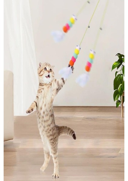 Elastik Kendinden Yapışkanlı Renkli Kedi Oyun Oltası Kedi Oyuncağı Yapışkanlı Olta Eğitim Oyuncağı