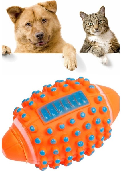 Renkli Kedi Köpek Isırma Topu Sesli Dikenli Top Tasarımı ile Diş Kaşımaya Yardımcı Köpek Isırma modelleri