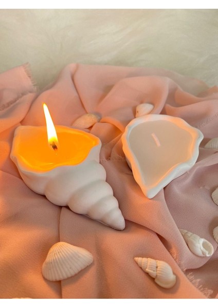 Deniz Kabuklu 2'li Mumluk fiyatları