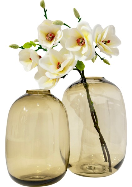 Balon Bal Renk Cam Vazo Küçük modelleri