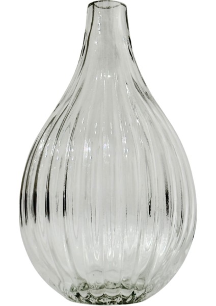 Celeste Şeffaf Cam Vazo Büyük