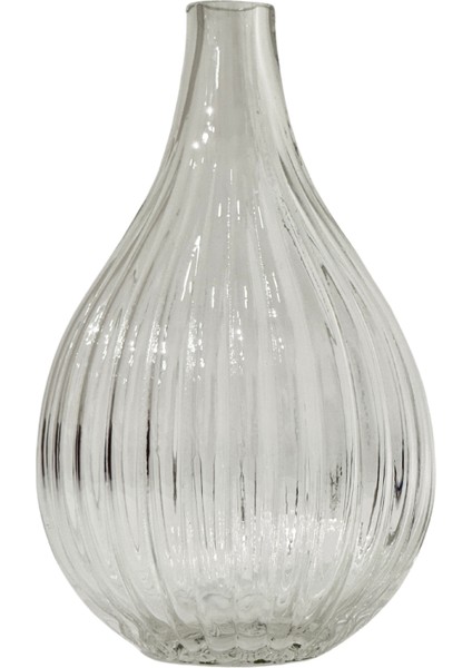 Celeste Şeffaf Cam Vazo Küçük