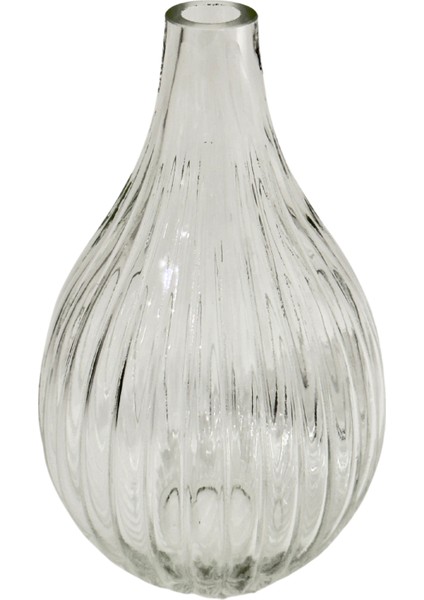 Celeste Şeffaf Cam Vazo Küçük modelleri