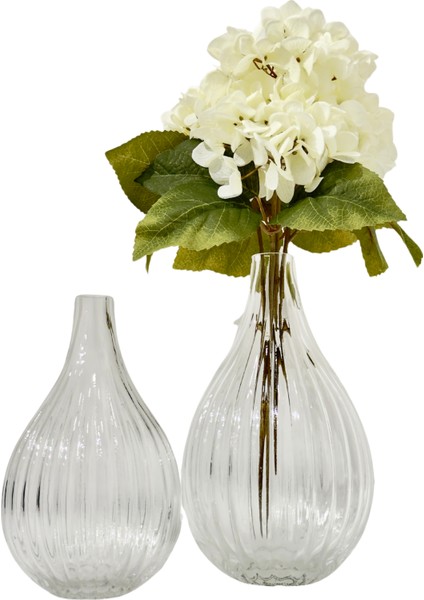 Celeste Şeffaf Cam Vazo Küçük fırsatları