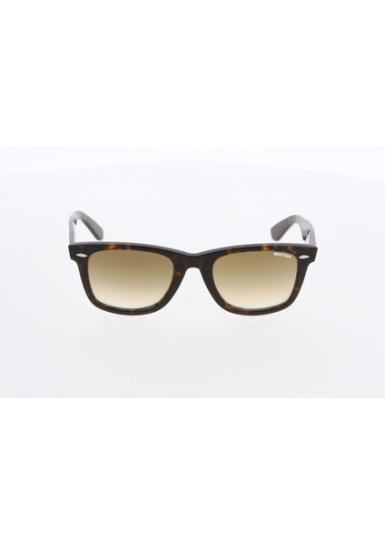 2388 C04 54/22/150 Unisex Güneş Gözlüğü fiyatları