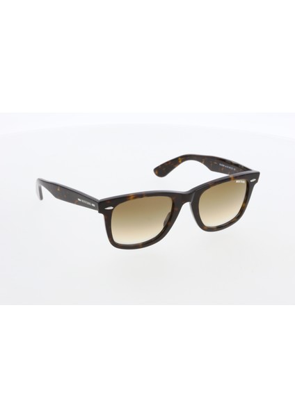 2388 C04 54/22/150 Unisex Güneş Gözlüğü modelleri