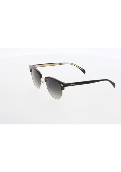 3617 02 Unisex Güneş Gözlüğü