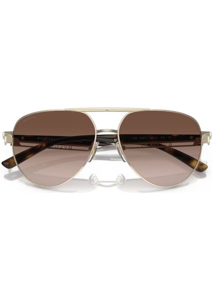 BV6189 278/13 58 Unisex Güneş Gözlüğü modelleri