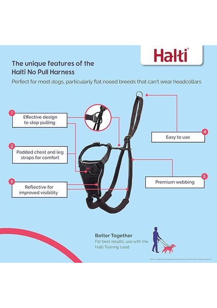 Halti No Pull Yemek Takımı ve Antrenman Tasması Kombi Paket, Stop Dog Pulling On Walks With Halti, Includes Medium Halti No Pull Harness And Double End Lead