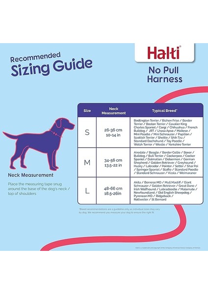 Halti No Pull Yemek Takımı ve Antrenman Tasması Kombi Paket, Stop Dog Pulling On Walks With Halti, Includes Medium Halti No Pull Harness And Double End Lead
