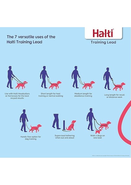 Halti No Pull Yemek Takımı ve Antrenman Tasması Kombi Paket, Stop Dog Pulling On Walks With Halti, Includes Medium Halti No Pull Harness And Double End Lead