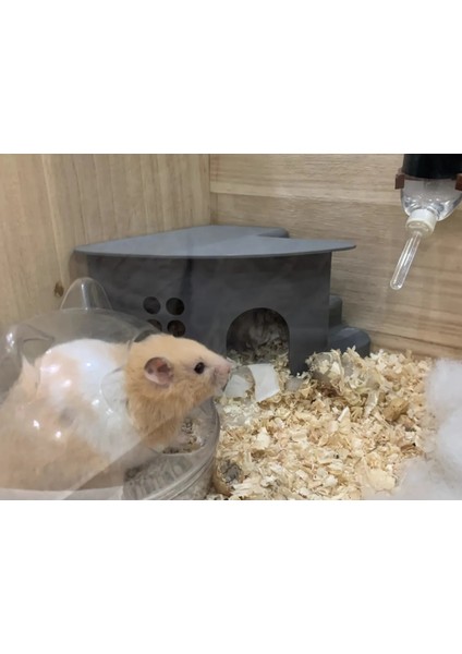 Hamster Evi Merdivenli (Pet Ürünleri)