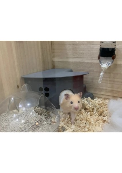 Hamster Evi Merdivenli (Pet Ürünleri) modelleri