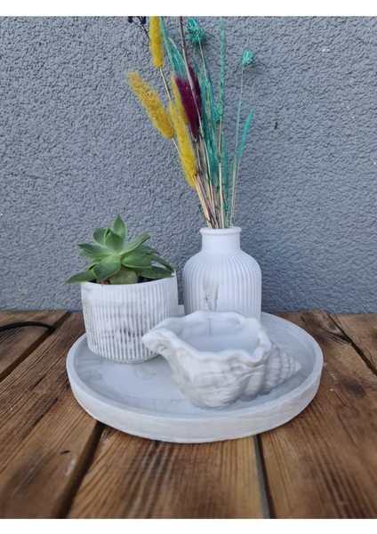 Mermer Desen Dekoratif Beton Set Yuvarlak Tepsi,deniz Kabuğu Mumluk, Kapaklı Kutu, Vazo