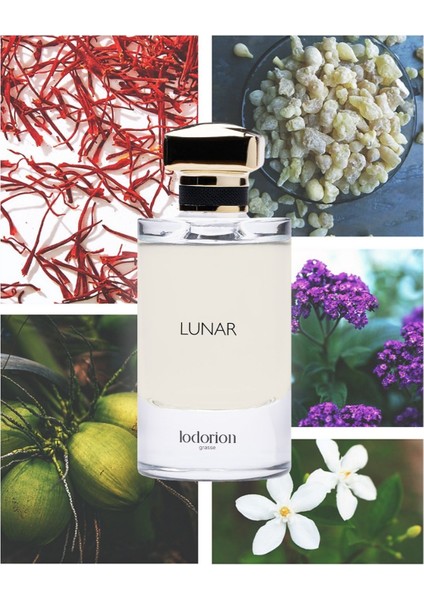 Lunar Unisex Extrait De Parfum Edp 50 ml