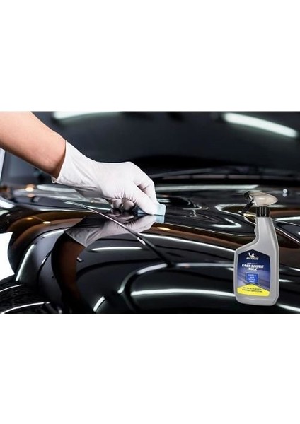 Michelin MC31951 650 ml Hızlı Cila