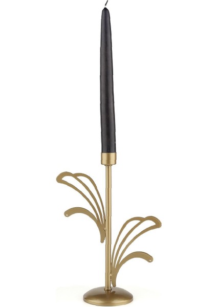 Kano Mumluk Eskitme fiyatları