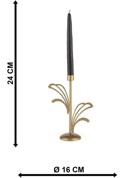 Kano Mumluk Eskitme fırsatları