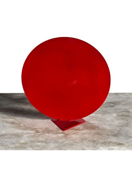 Gong Hedef (30CM)